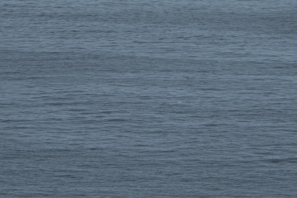 Cold sea surface